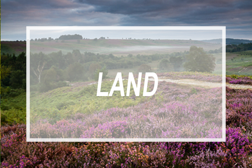 Landscape Gallery